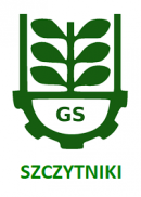 GS logo M