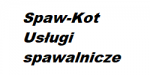 spawkot2